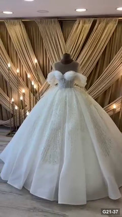 G21-037 Ivory Ball Gown Wedding Dress Main Clean Frame
