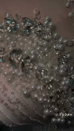 NIL 351 Ivory Ball Gown Crystal Beaded Tulle Mesh Wedding Dress - Image 3
