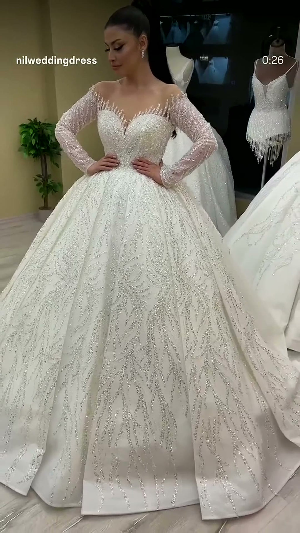 NIL 376 Ivory Ball Gown Lace Applique Tulle Wedding Dress - Image 2