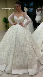 NIL 376 Ivory Ball Gown Lace Applique Tulle Wedding Dress - Image 2
