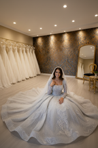 NIL-254 Silver Grey Baroque Crystal Ball Gown – Creative Floor Pose