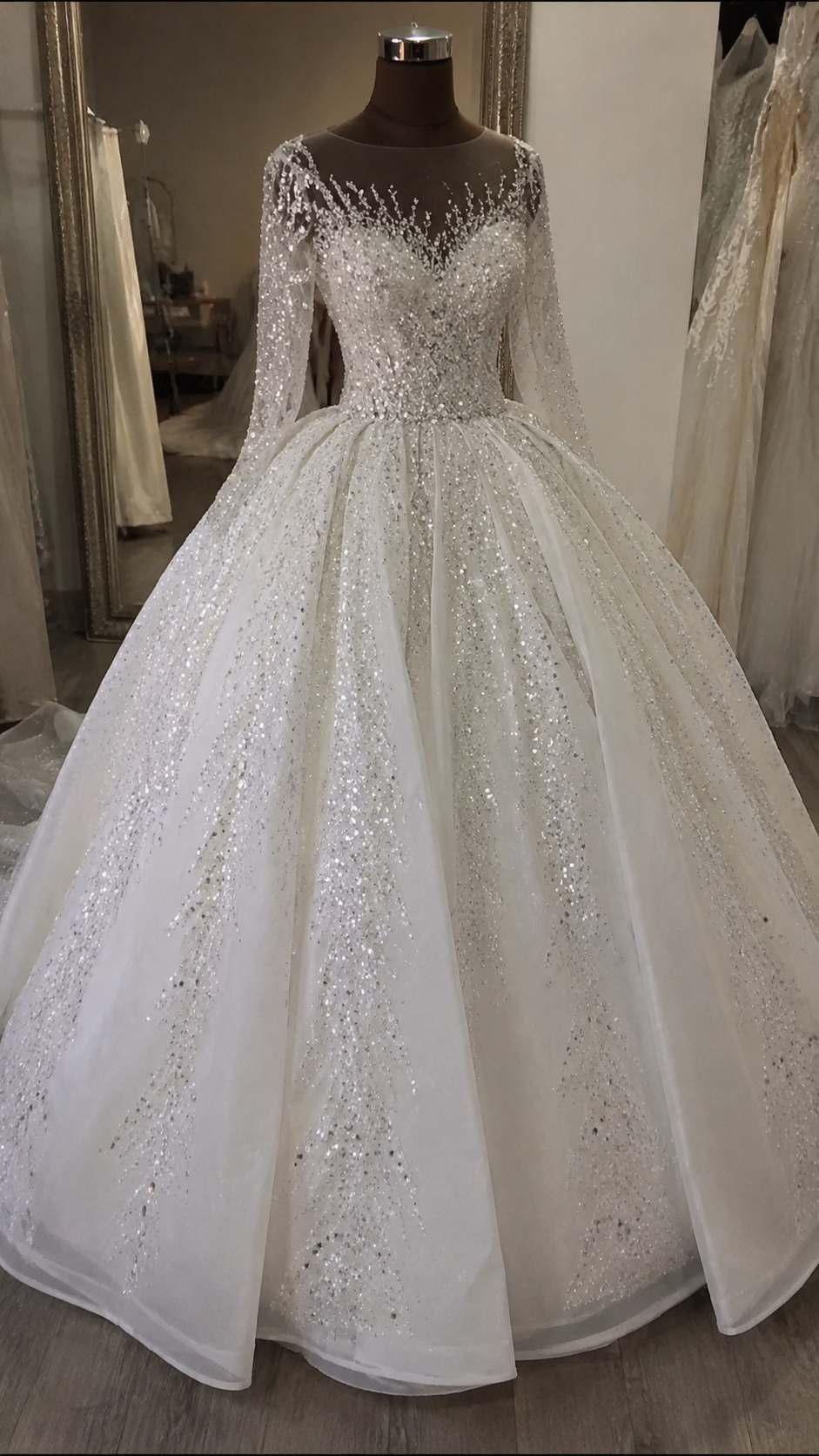 G21-060 Sparkling Sequin Long Sleeve Princess Ball Gown