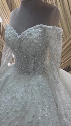 G21-053A - Champagne Lace Ball Gown Wedding Dress